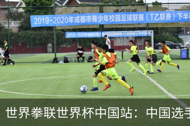 世界拳联世界杯中国站：中国选手斩获5金